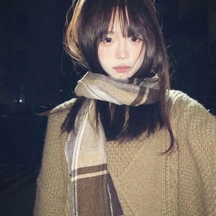 巡回检察组