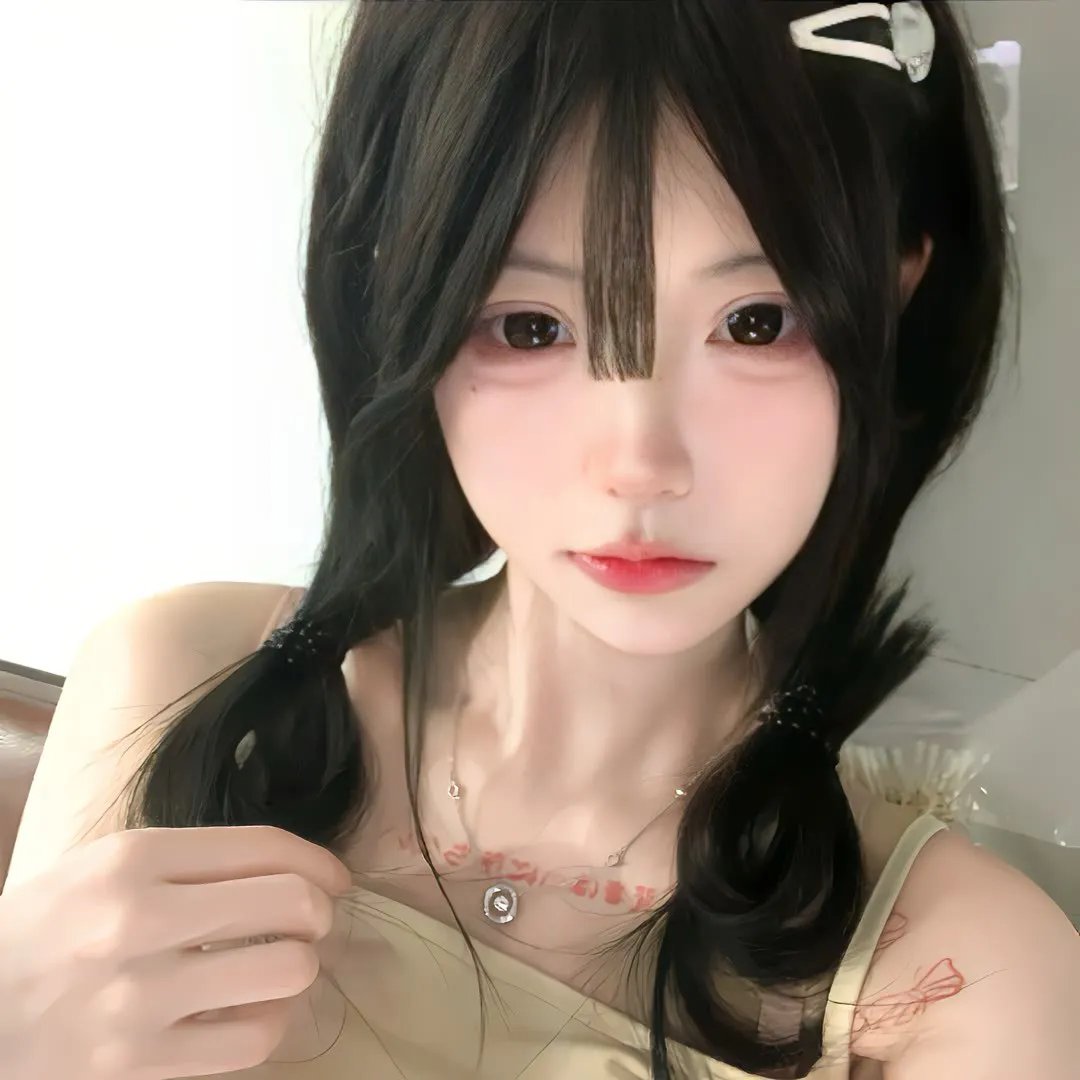 鸽之翼